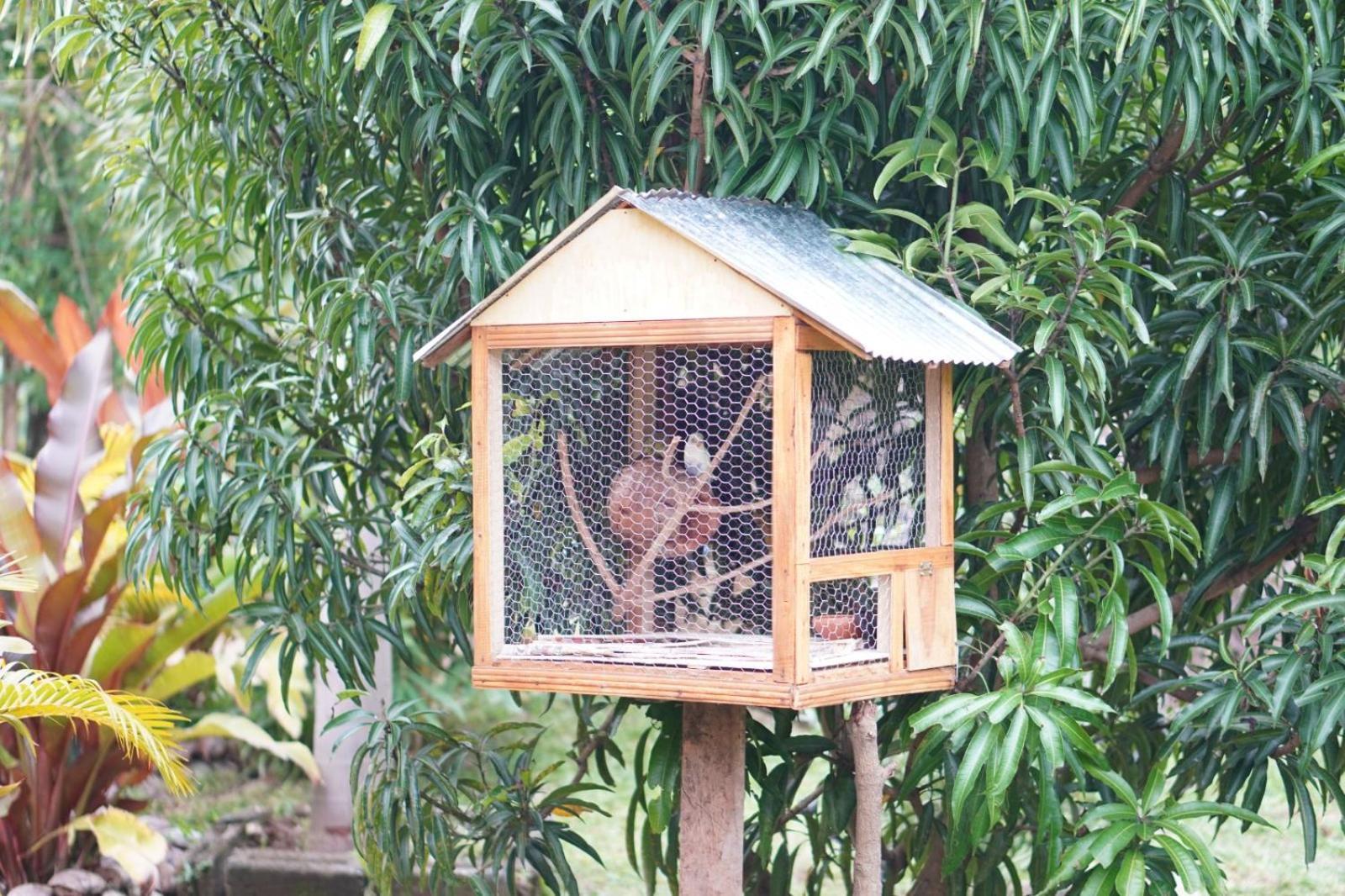 Nature World Udawalawe Bagian luar foto