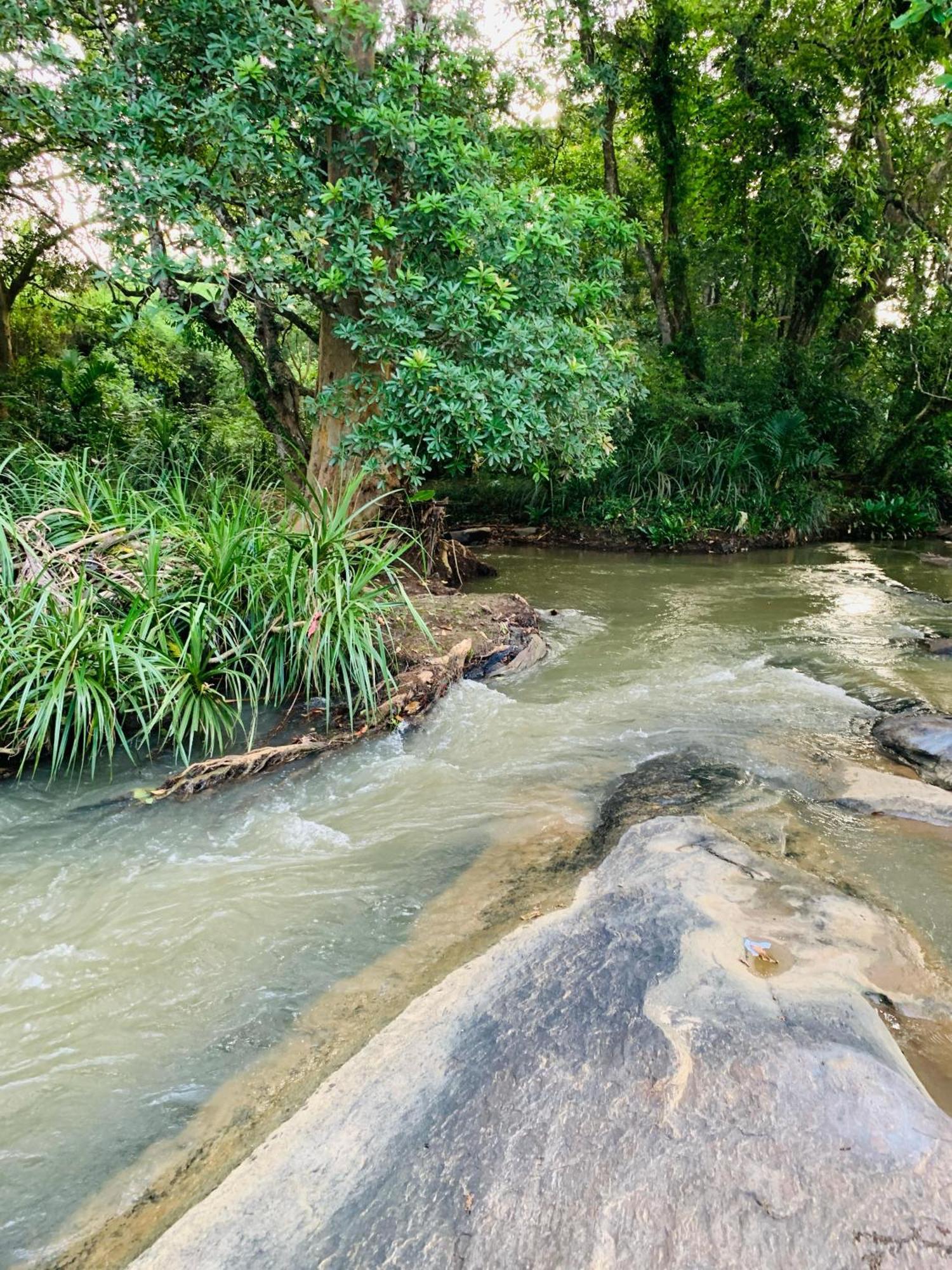 Nature World Udawalawe Bagian luar foto
