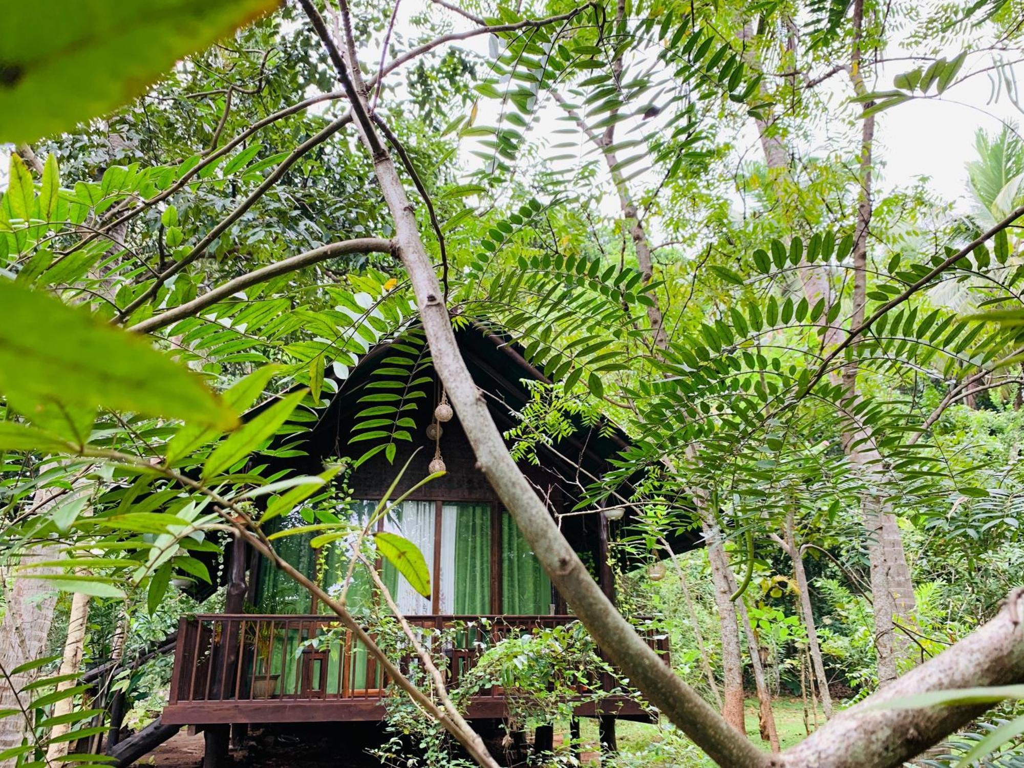 Nature World Udawalawe Ruang foto
